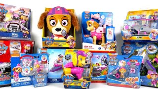 Paw Patrol Skye Toy Collection Unboxing Review ASMR | Jungle Pups | The Movie | Big Truck