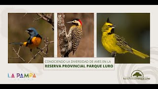 Conociendo la diversidad de aves en la Reserva Provincial Parque Luro