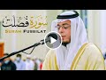 سورة فصلت أحمد عبدالرازق نصر 