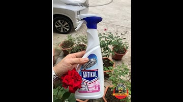 Antikal tẩy cặn canxi trên inox, vòi nước, vòi hoa sen#Antikal #taycancanxi #inox201 #voihoasenchobe