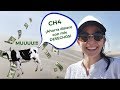 AHORRA DINERO mientras ayudas al PLANETA, la solución en el diseño de la industria.❤️🌱🐄