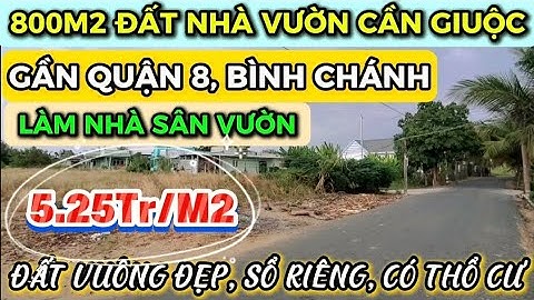 Bán Đất Nhà Vườn 800m² Cần Giuộc, Sổ Sẵn, MT Đường Nhựa 5m, Gần Quốc Lộ 50 & Quận 8 | Văn Trần BĐS