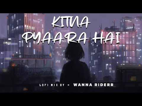 Kitna Pyaara Hai   Lofi Mix