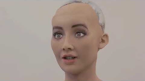 Hanson Robotics   We bring robots to life