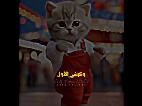 أنا بحب اكل هم هم حبه فرفشه اسمها بحب اكل انا هم هم