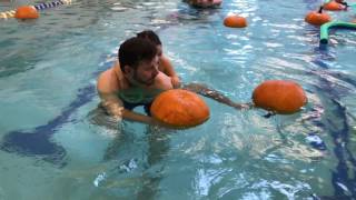 Floating Pumpkin Patch