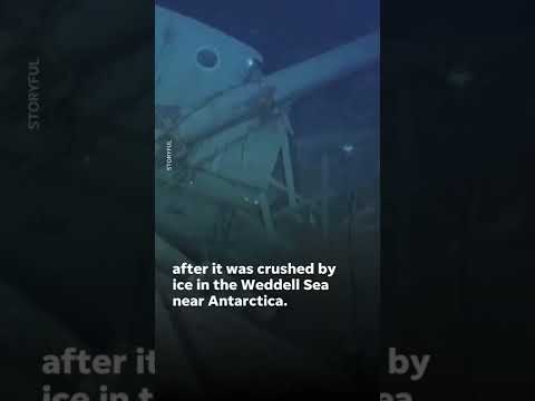 Discovery expedition uncovers ship more than a century after it sank. #Shorts