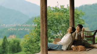 Let Green Be The Silence That Softens Your Daya Playlist For Quiet Hours