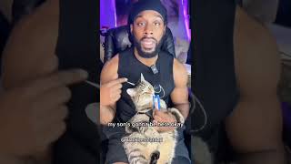 Dont ask if my cat gone BE HERE ! #catlovers #cats #cutecatvideo #catdad #tabbycat