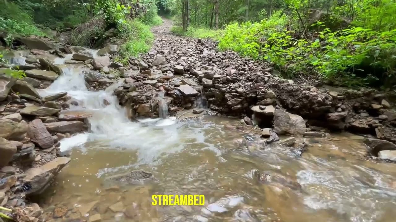 Building Smart Stream Crossings in Virginia's High Knob Region