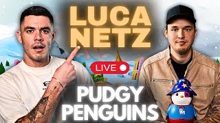 Could pengu Become The Top Memecoin Luca Netz Pudgy Penguins Interview