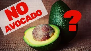 ➤ 5 Gründe, warum DU weniger/keine Avocado essen solltest! | Max GREEN