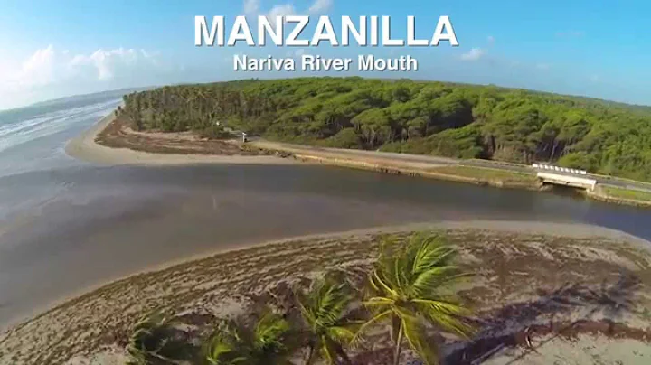 Manzanilla 2015