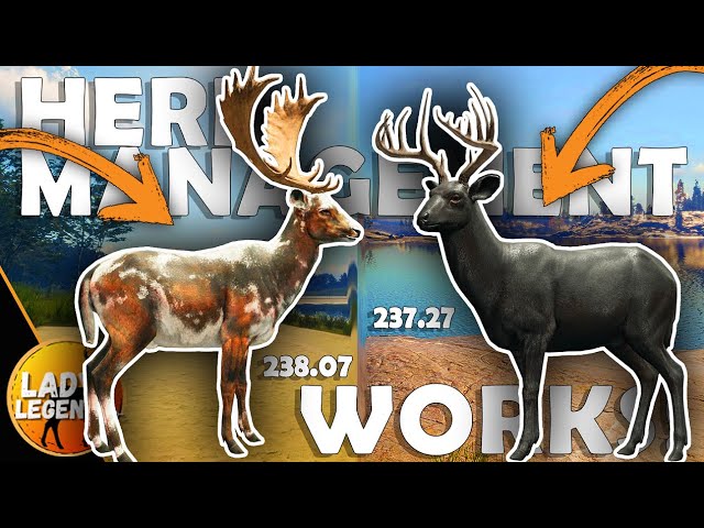 Want BIGGER RARES??? Use HERD MANAGEMENT!!! - Call of the Wild