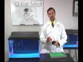 X-tremegeek.com - R2 Fish School Training Kit