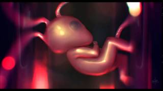 Embryonic Breathing - Spiritual Enlightenment