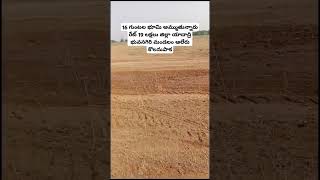 Call : 9490828796 | #realestate #landforsale #telangana #aleru #agriculture #landsale