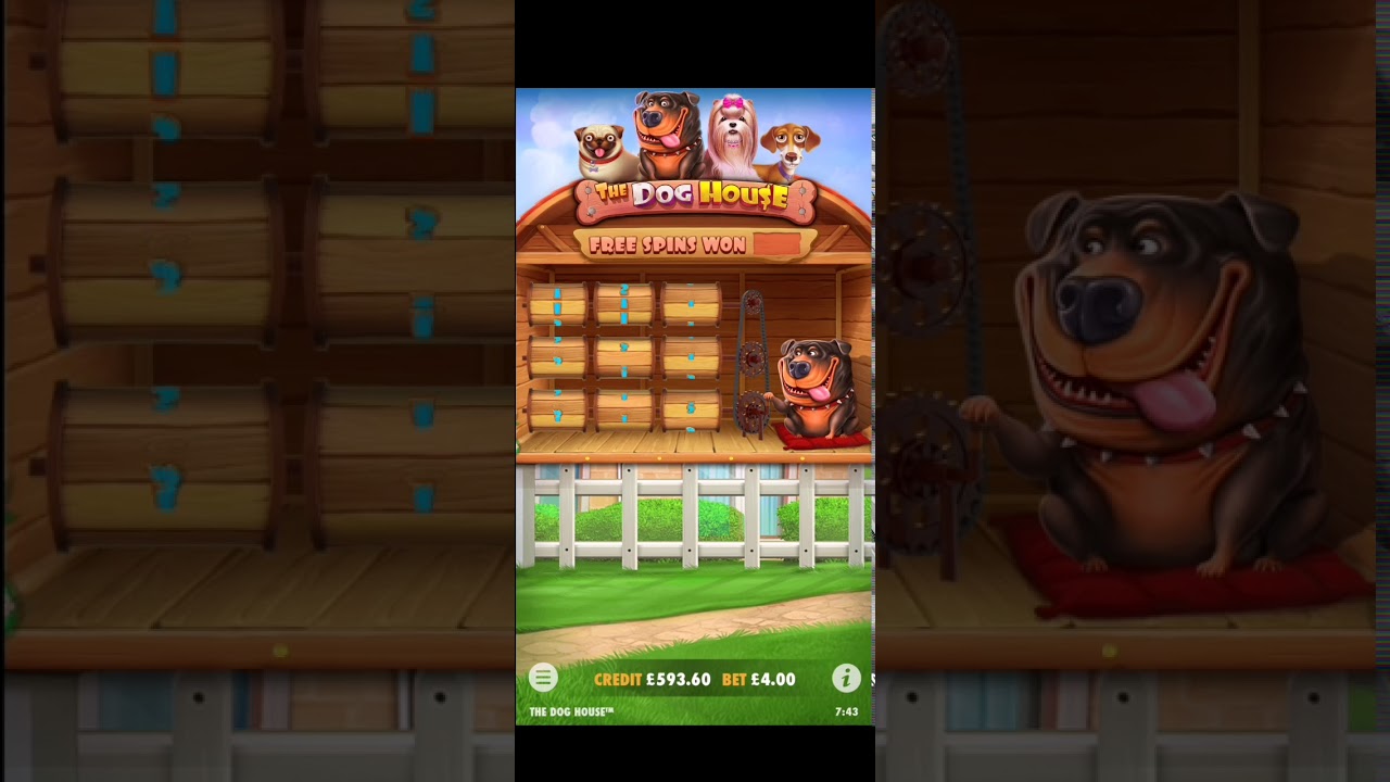 THE DOG HOUSE SLOT £4 BONUS BIG WIN!! YouTube