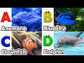 ABC phonics animals | ABC Sea Animals song | English and Animals for Kids | Alphabet Kid Song | Baby