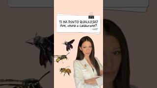Ti ha punto qualcosa? Ape, vespa o calabrone? 🐝