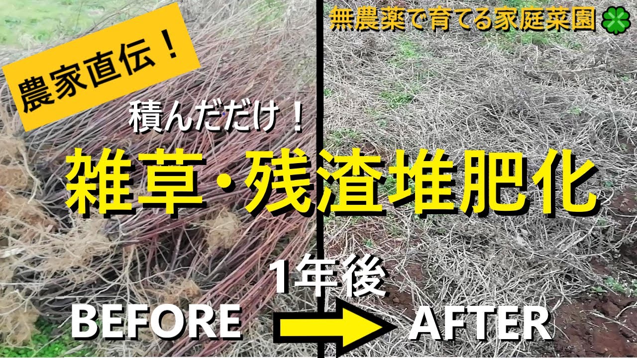(終了)庭の草木除草と古い堆肥物の運搬作業 Making weed compost and disposing of residue. Composite making by