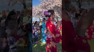 Copenhagen Sakura Festival 2023 - Bonodori #shorts #sakurafestival #copenhagensakurafestival