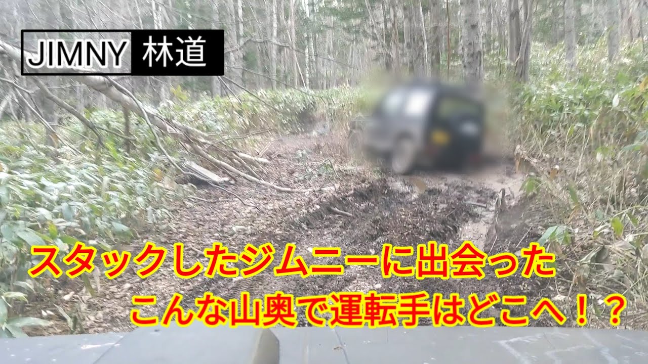 【JIMNY林道】ジムニーで林道ぶらり旅。川を渡り進んだ先にジムニーが！？