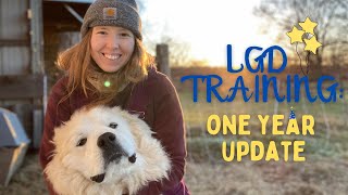 LIVESTOCK GUARDIAN DOG TRAINING TIPS (update on our lgd puppy)