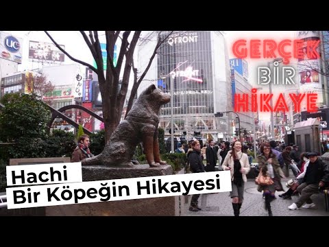 İnanılmaz Bir Hikaye ve Muhteşem Uyarlanmış Bir Film - Hachiko - Hachi Bir Köpeğin Hikayesi