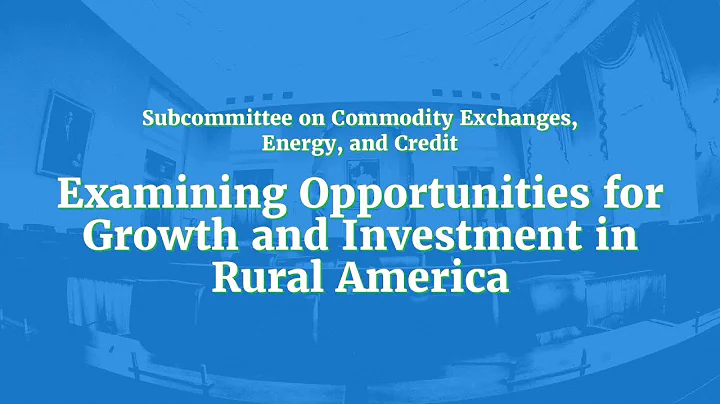 Examining Opportunities for Growth and Investment ...