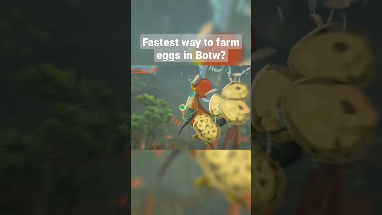 Is this the Fastest way to Farm eggs in Botw? zelda botw nintendo 