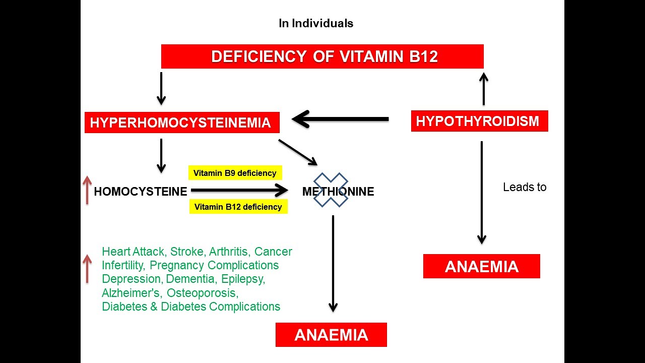 Effects Of Deficiency Of Vitamin B12 31May23 YouTube