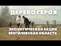 Акция «Дерево героя» проходит в Могилевской области