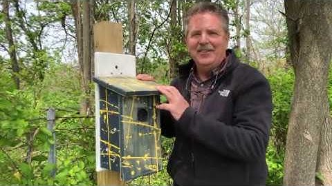 "Rings" a WVTim gadget cache