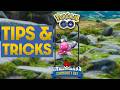 Everything You Need To Know For Tinkatink Community Day in Pokémon GO