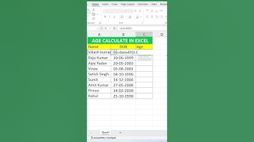 Calculate Age in Excel  #excel #excelshorts #spreadsheet #calculate
