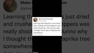 WHEN PEOPLE IGNORE YOUR MESSAGES #shorts