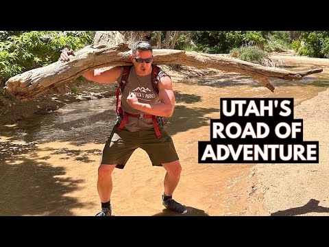 Utah's Scenic Cottonwood Canyon Road | Six Amazing Stops
