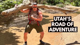 Utah's Scenic Cottonwood Canyon Road | Six Amazing Stops