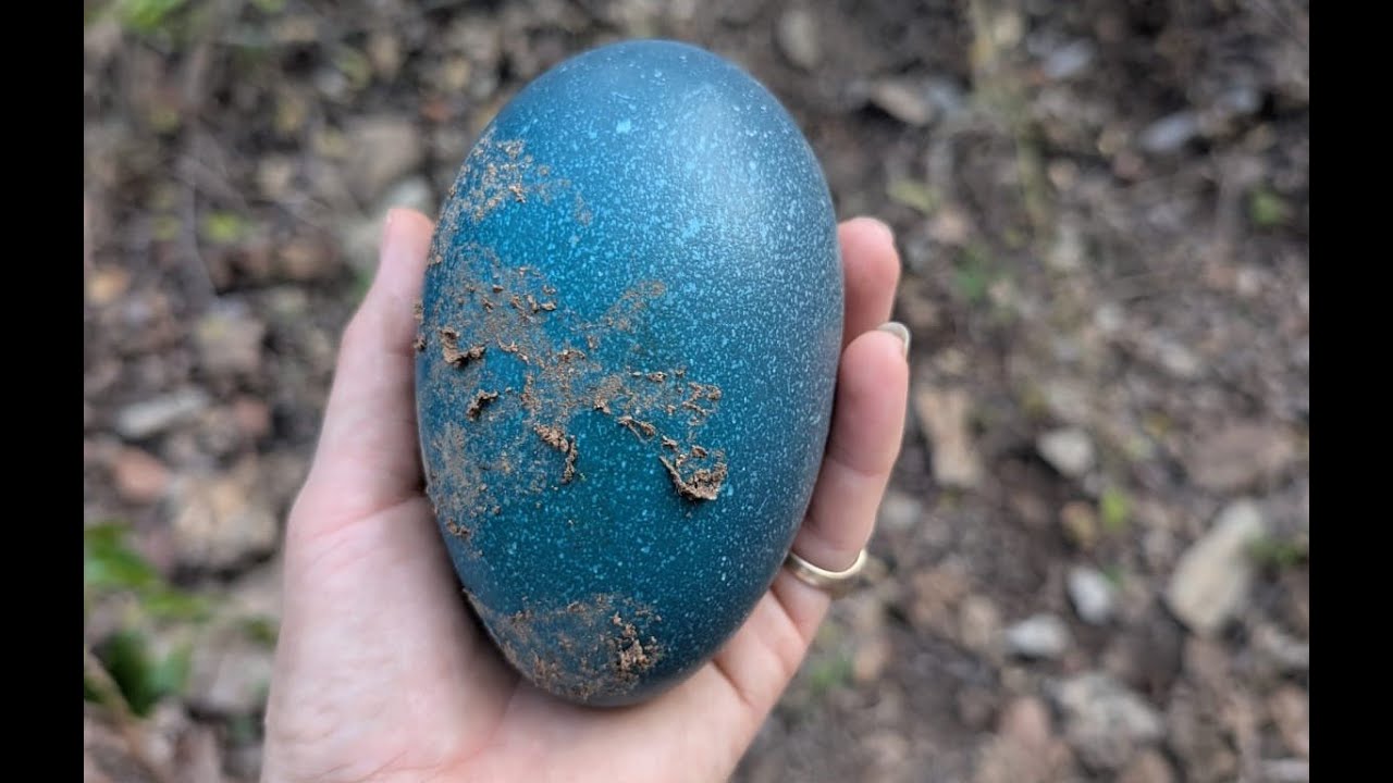 Descubrimiento asombroso