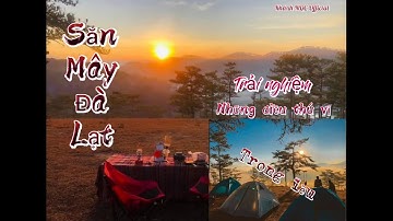 Săn Mây Đồi Cỏ Hồng Đà Lạt Vào Buổi Sáng và Trải Nghiệm Những Điều Thú Vị Từ Trong Lều