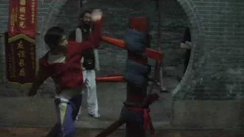 Fatsaan Hung Sing Choi Lei Fat 佛山鴻勝蔡李佛 2008-2009