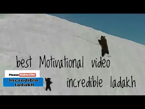 #motivational Best Motivational