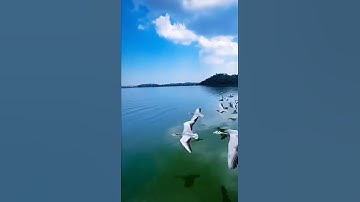 تلاوة طيبة  بصوت الأخ حمد الرضي وفقه الله