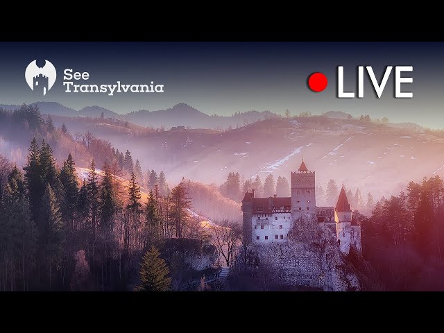 Castelul Bran - Dracula's Castle - Casa din Bran 🔴 Live Webcam