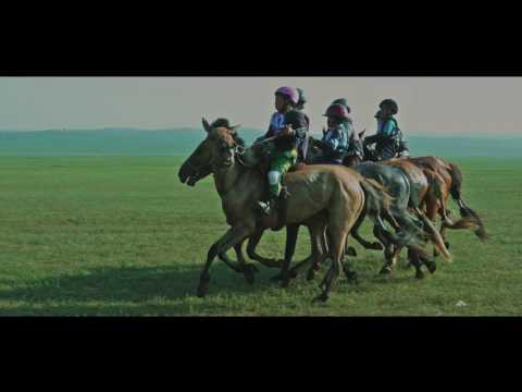 City Of Horses