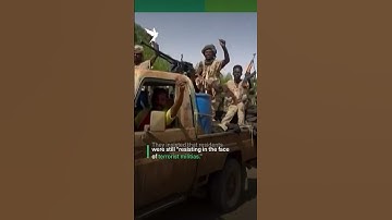 Sudan: RSF claims it captured El-Fasher, the last major Sudanese Army stronghold in Darfur