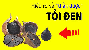Tỏi Đen là gì? Tại sao được xem là "Thần dược" 🤔