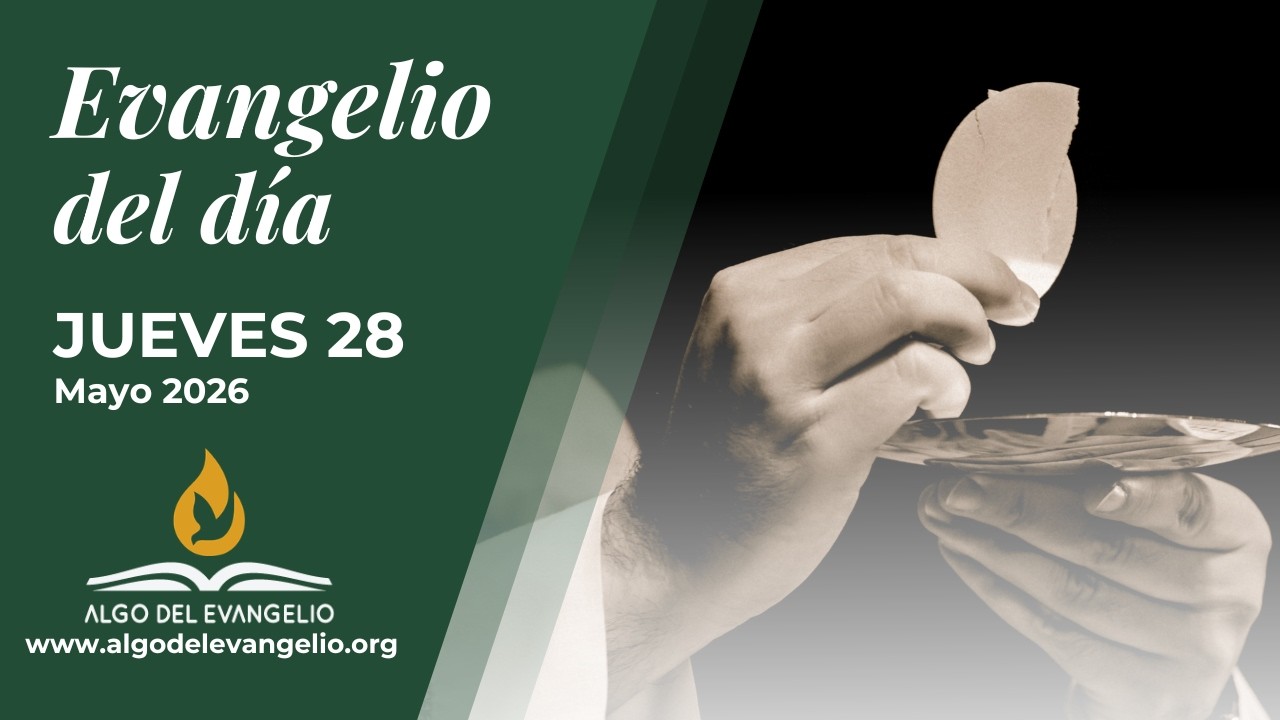 Evangelio de hoy | 28 de mayo de 2026 | VIII Jueves durante el año ...