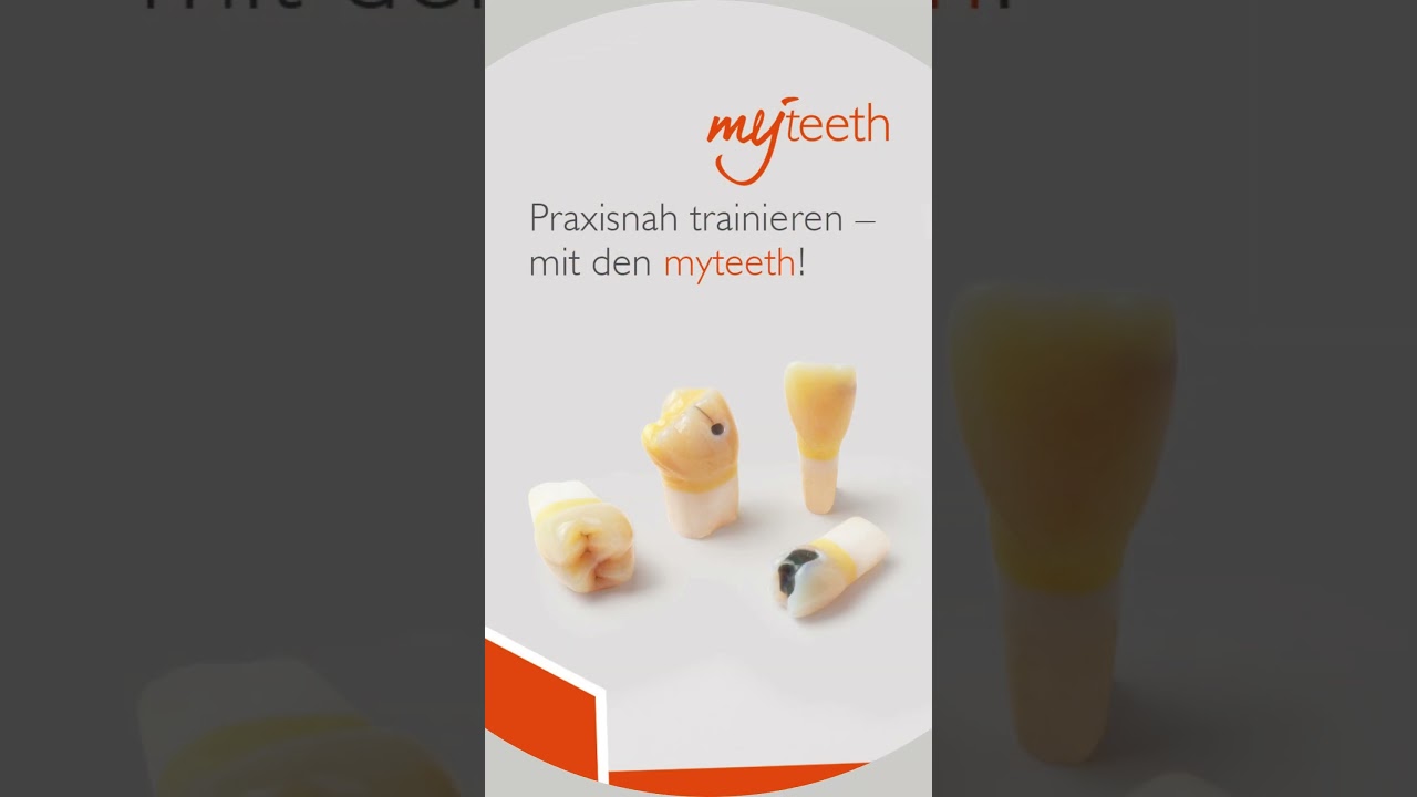 myteeth Übungszähne - praxisnah trainieren, sicher behandeln!